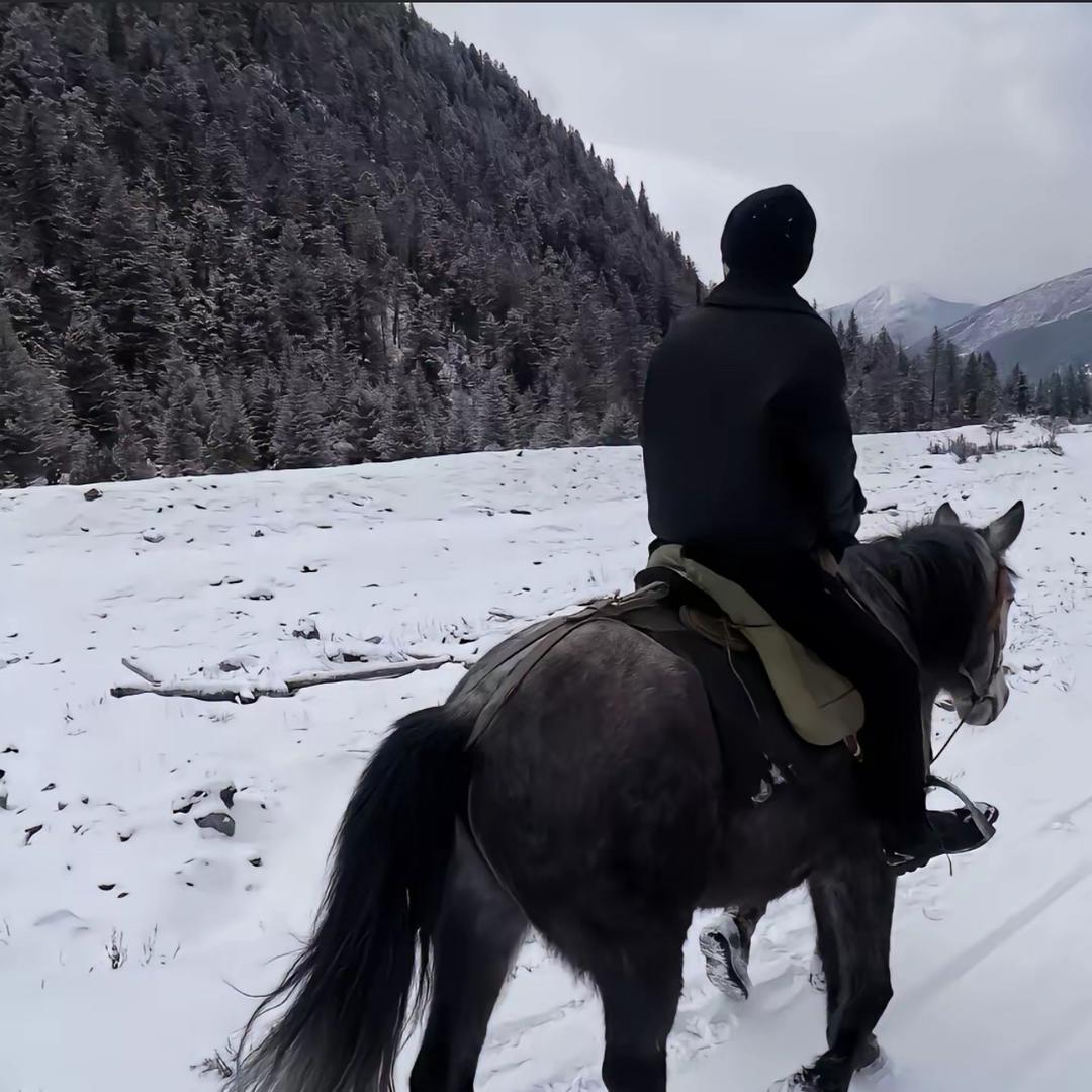 风花雪月