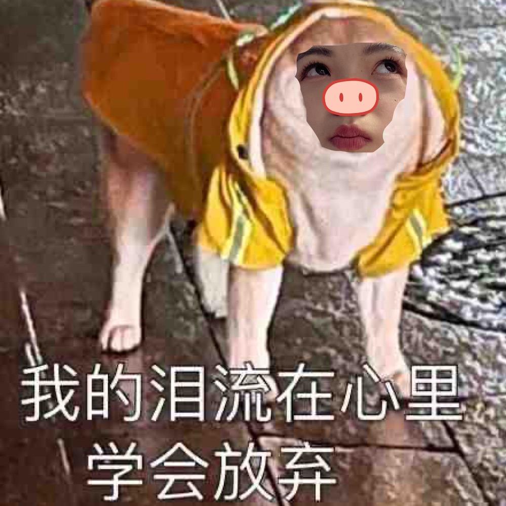 亿蛋粽师