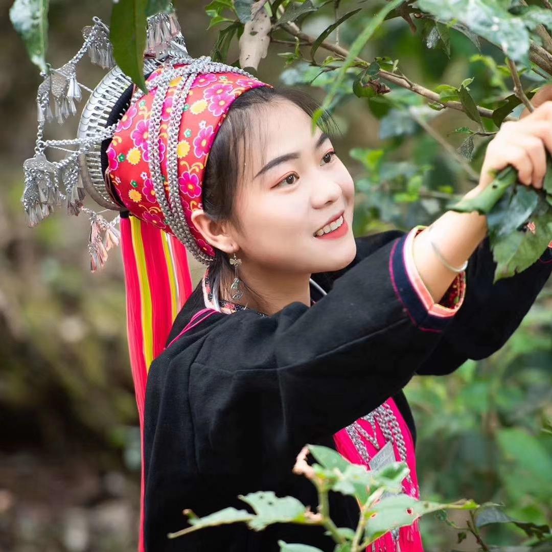 小普洱🍃
