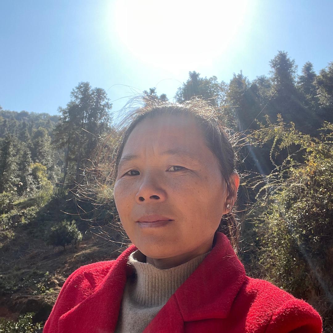 桀骜不驯