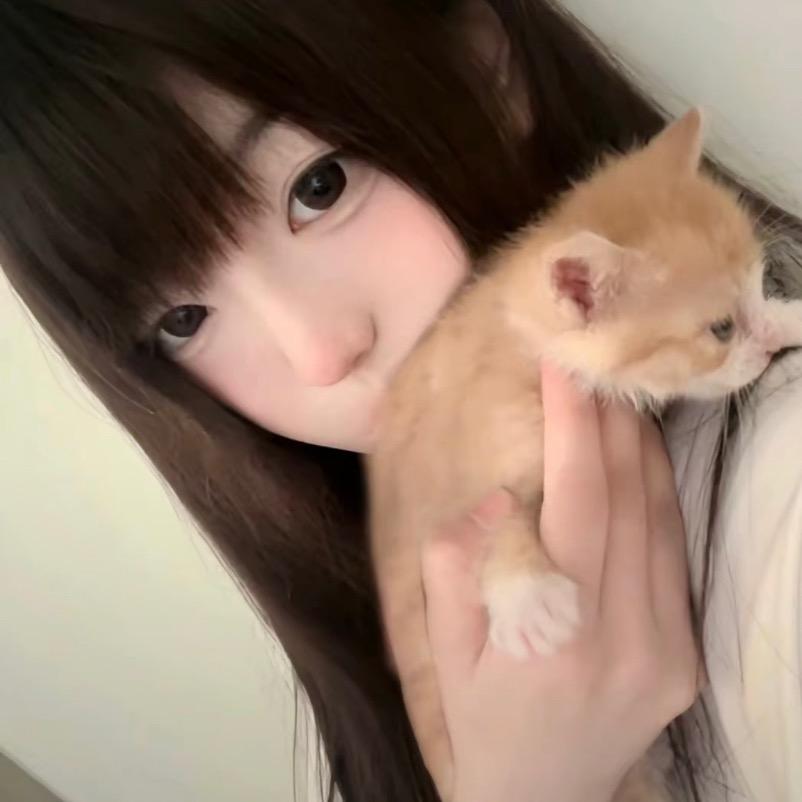 零碎小羊羔.