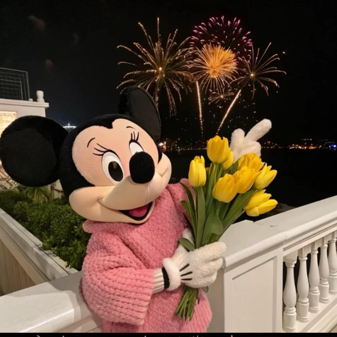段美丽