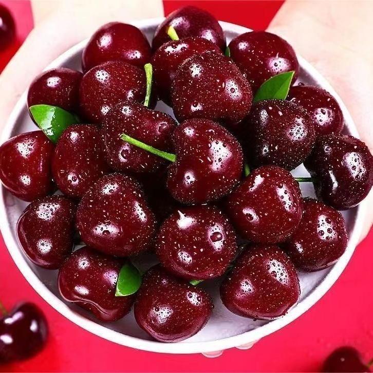 果津圆高端生鲜