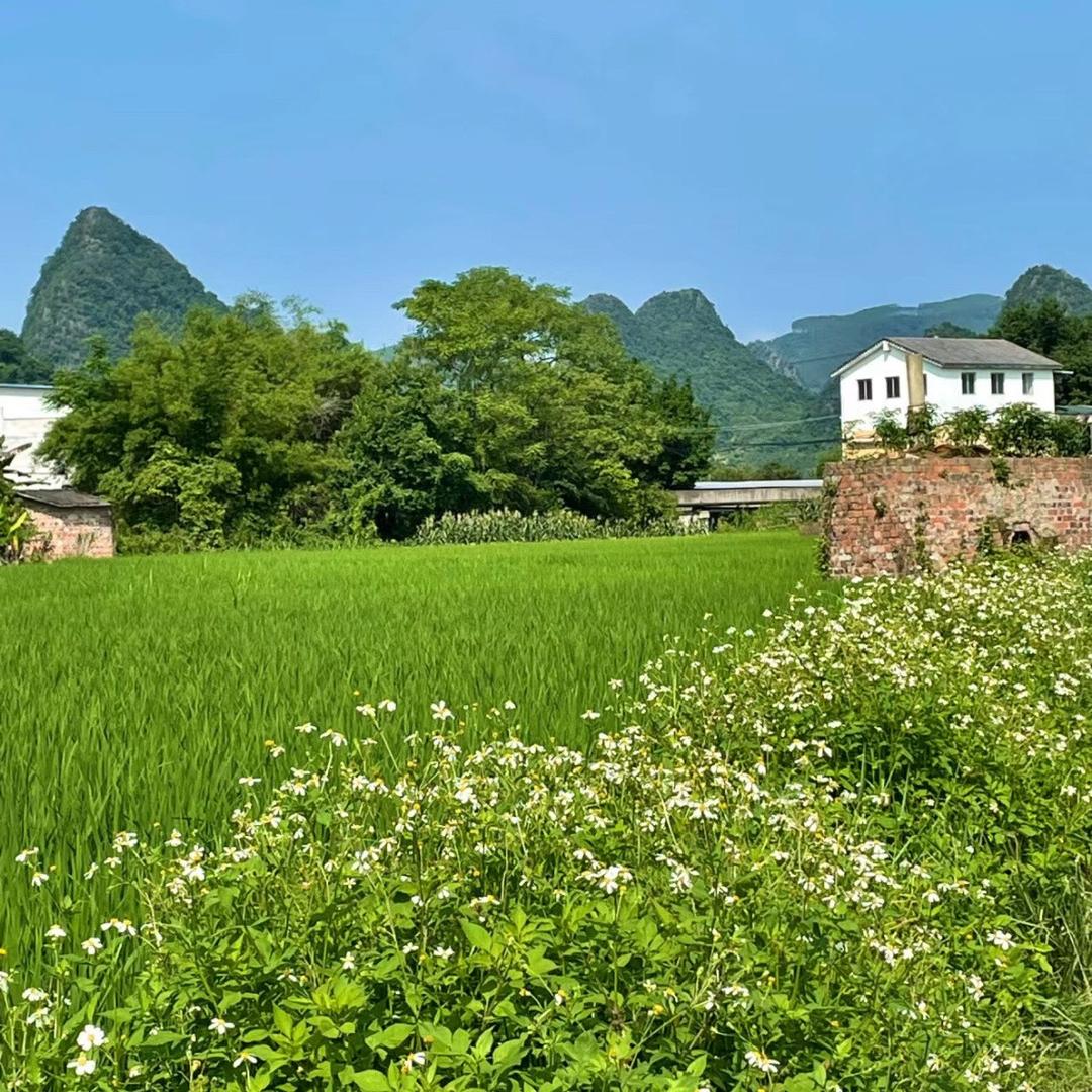 张老师来聊天