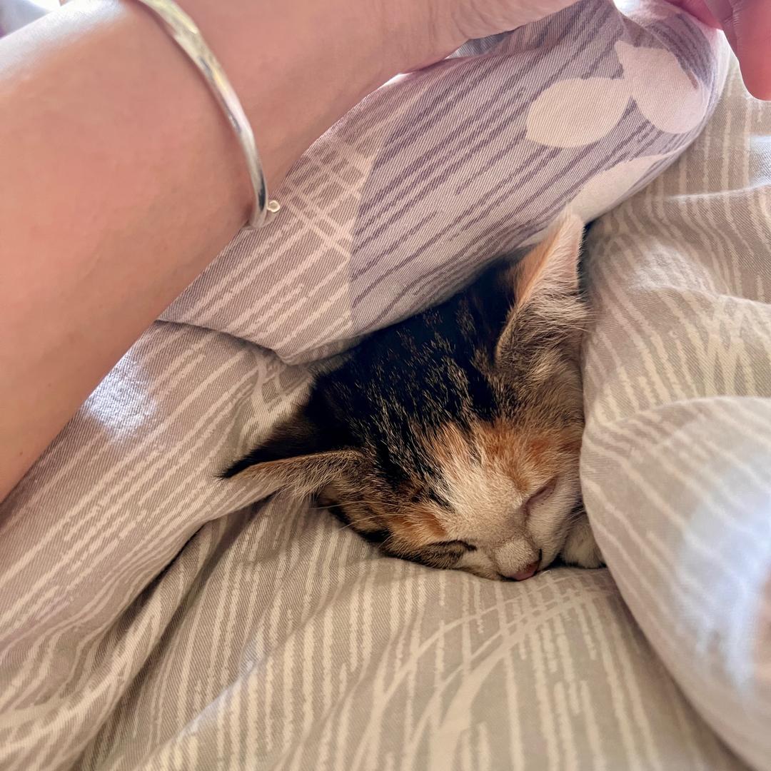 @😻