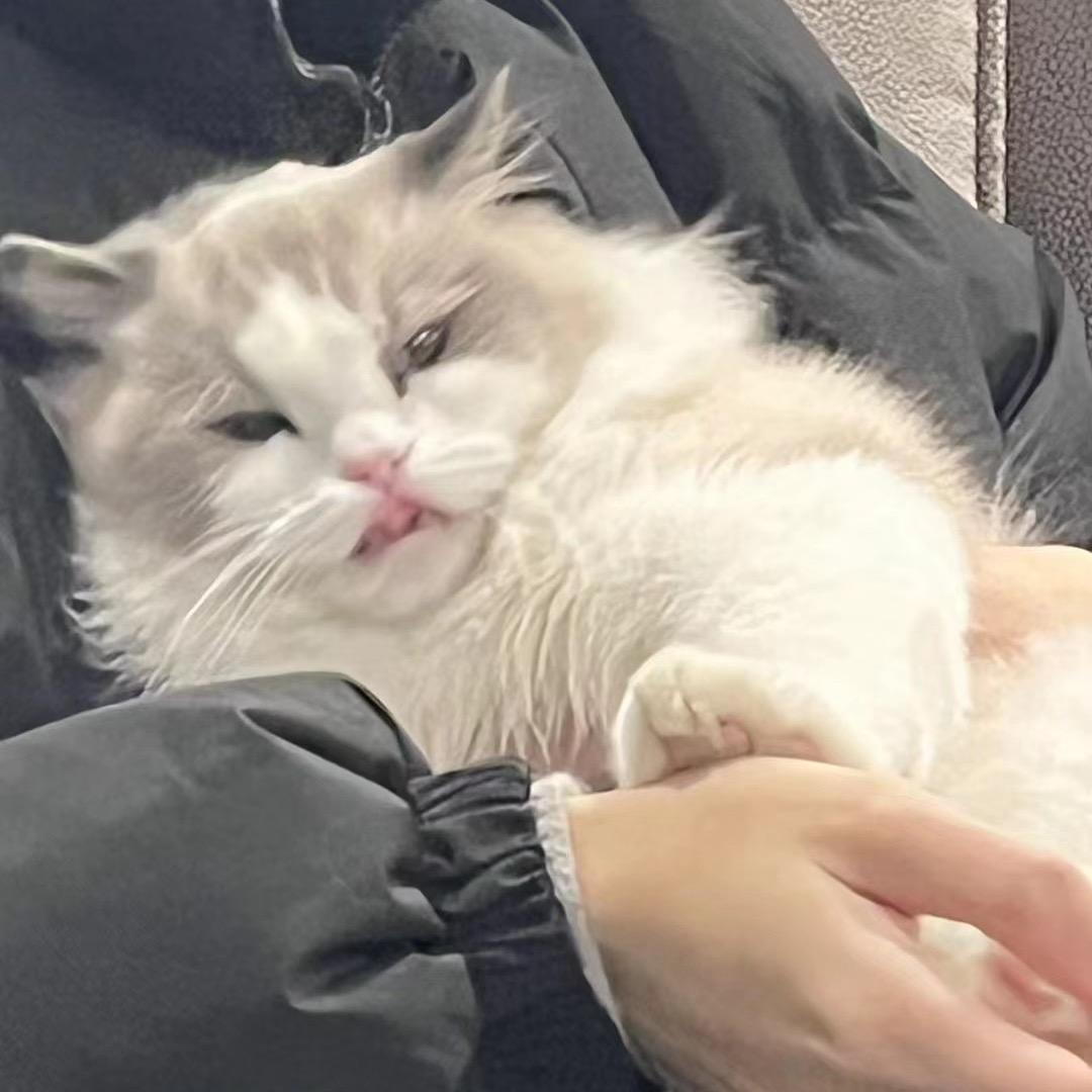 云