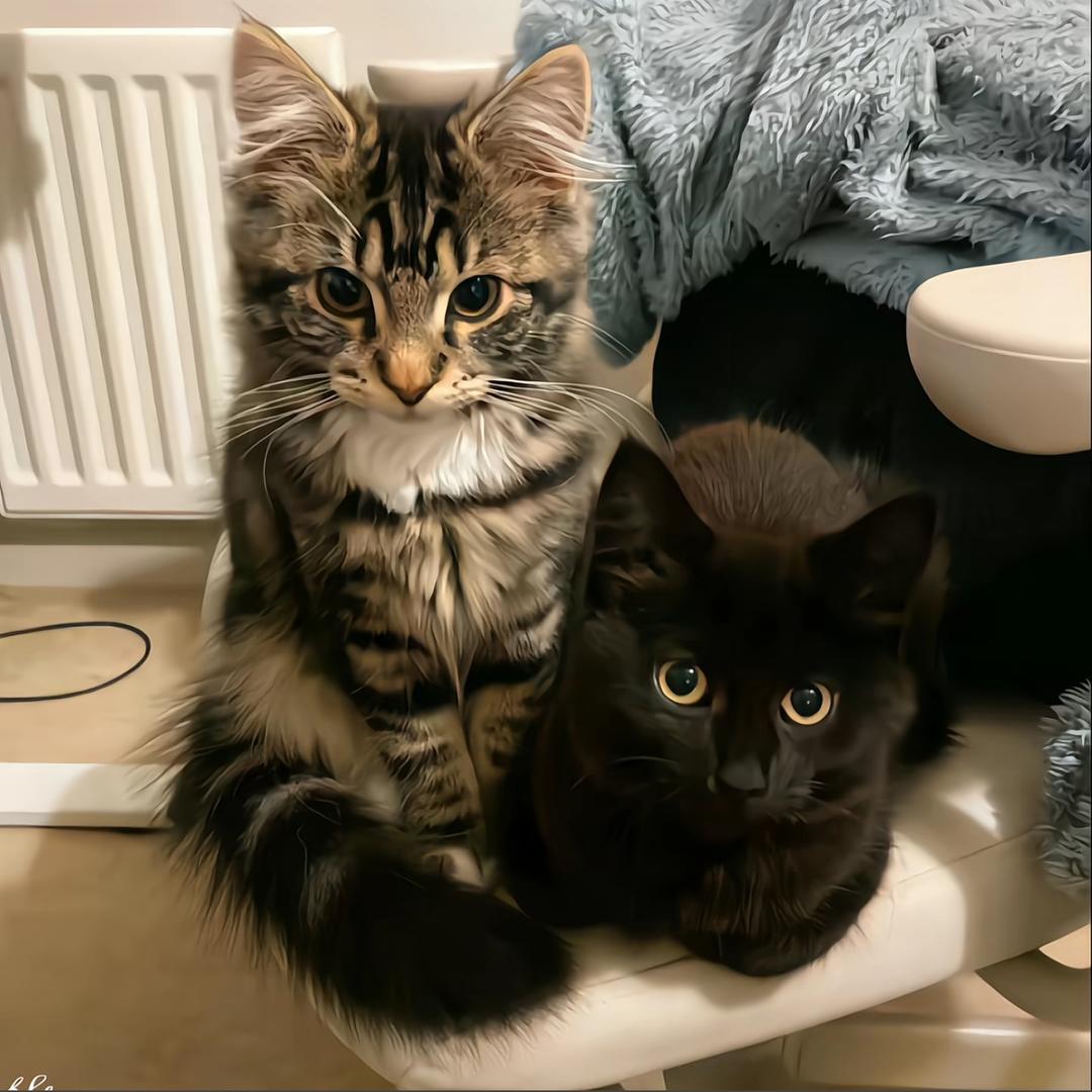 整根烤肠⁷⁷⁸