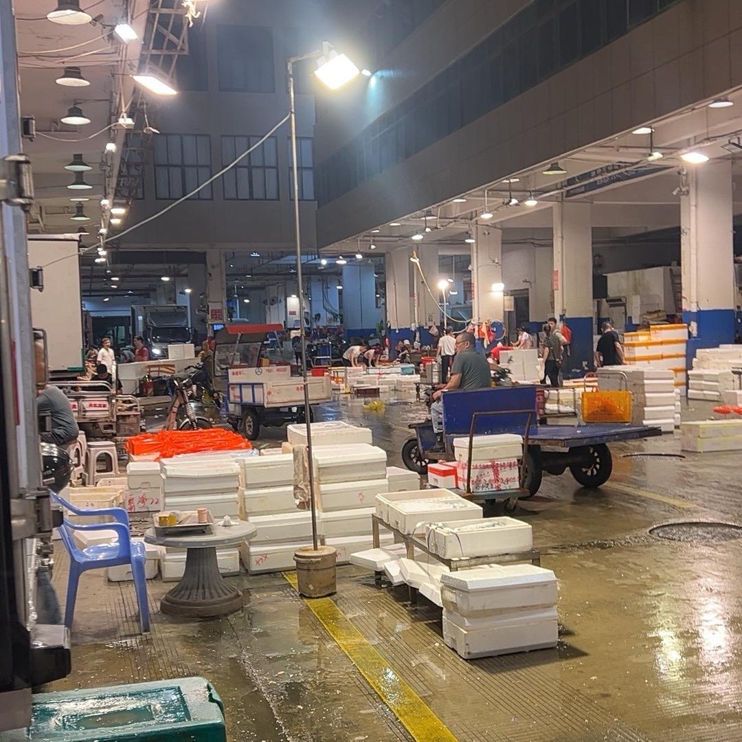 福建泉州海鲜水产
