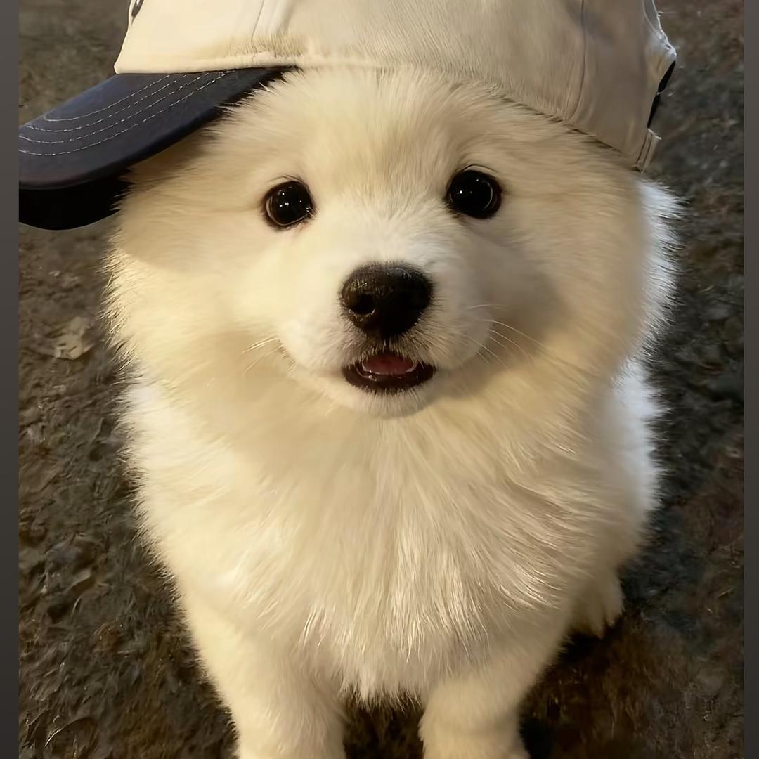 温.