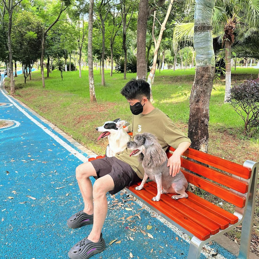 就似六🫥