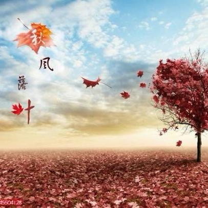 秋风落叶🍁