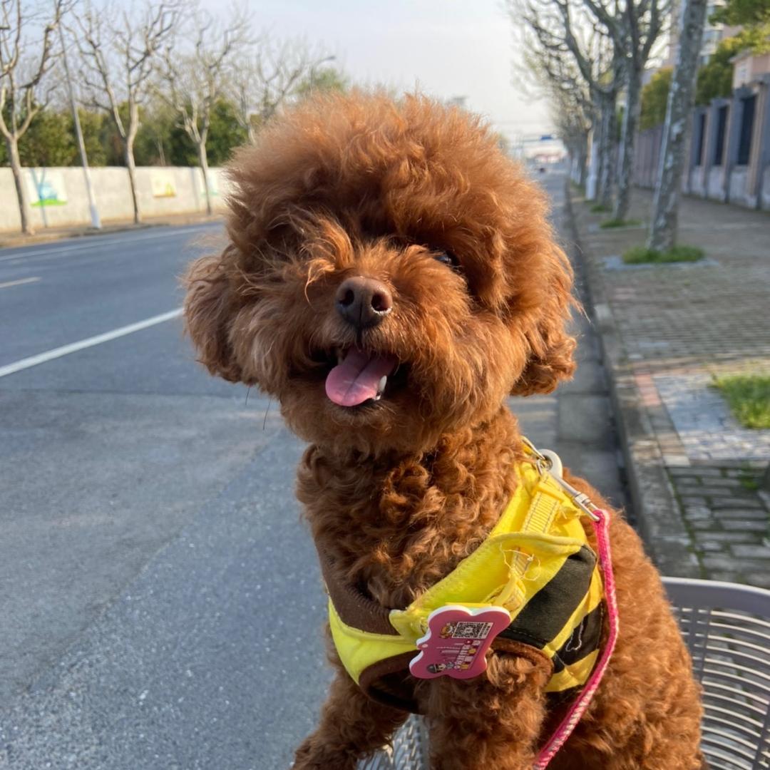 丽娟
