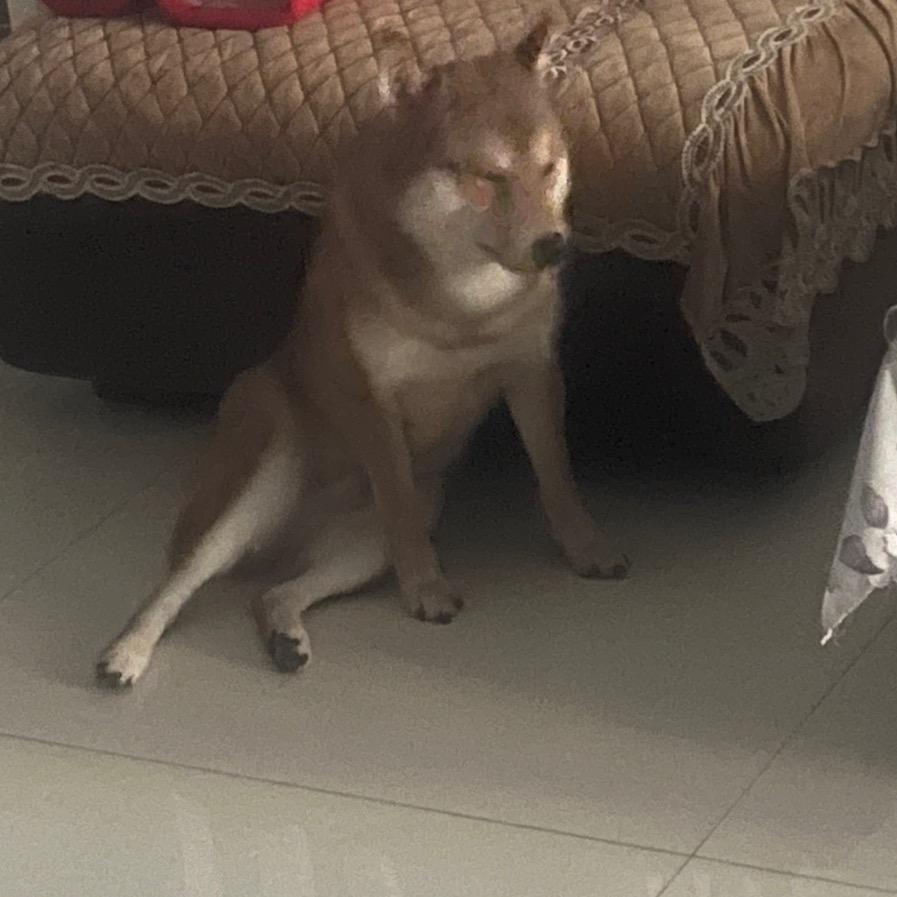 我不叫喂