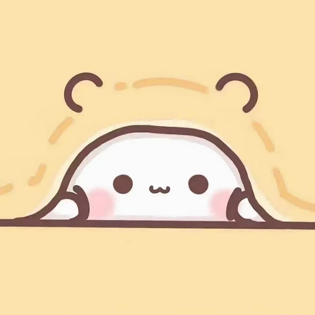 十一月🐾
