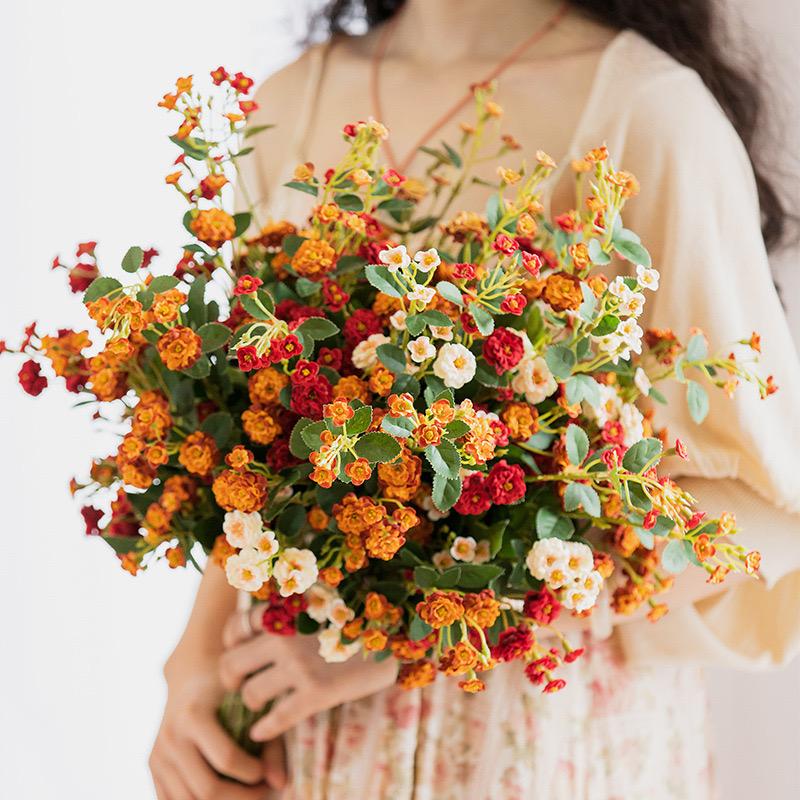 丁丁挖白菜