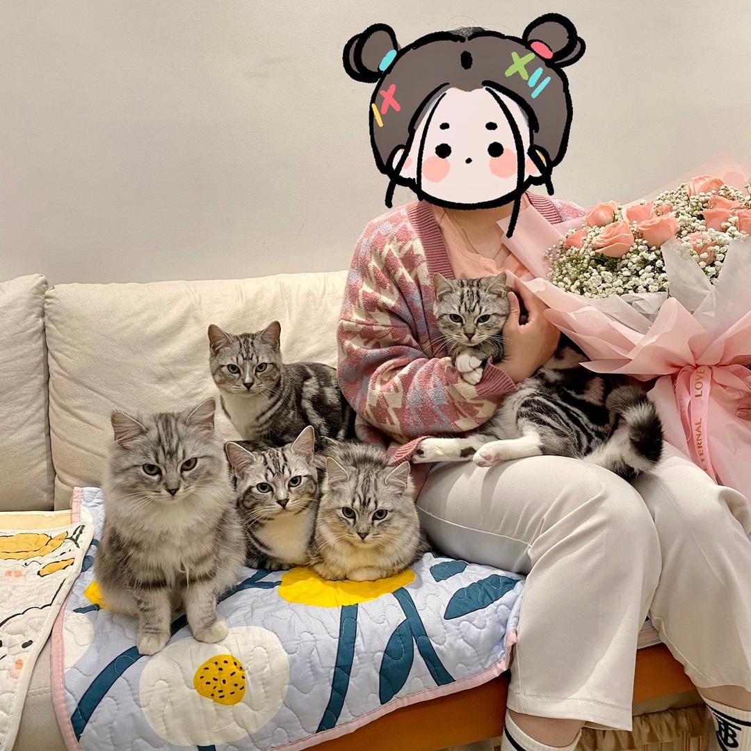 朱茜家的跳跳猫