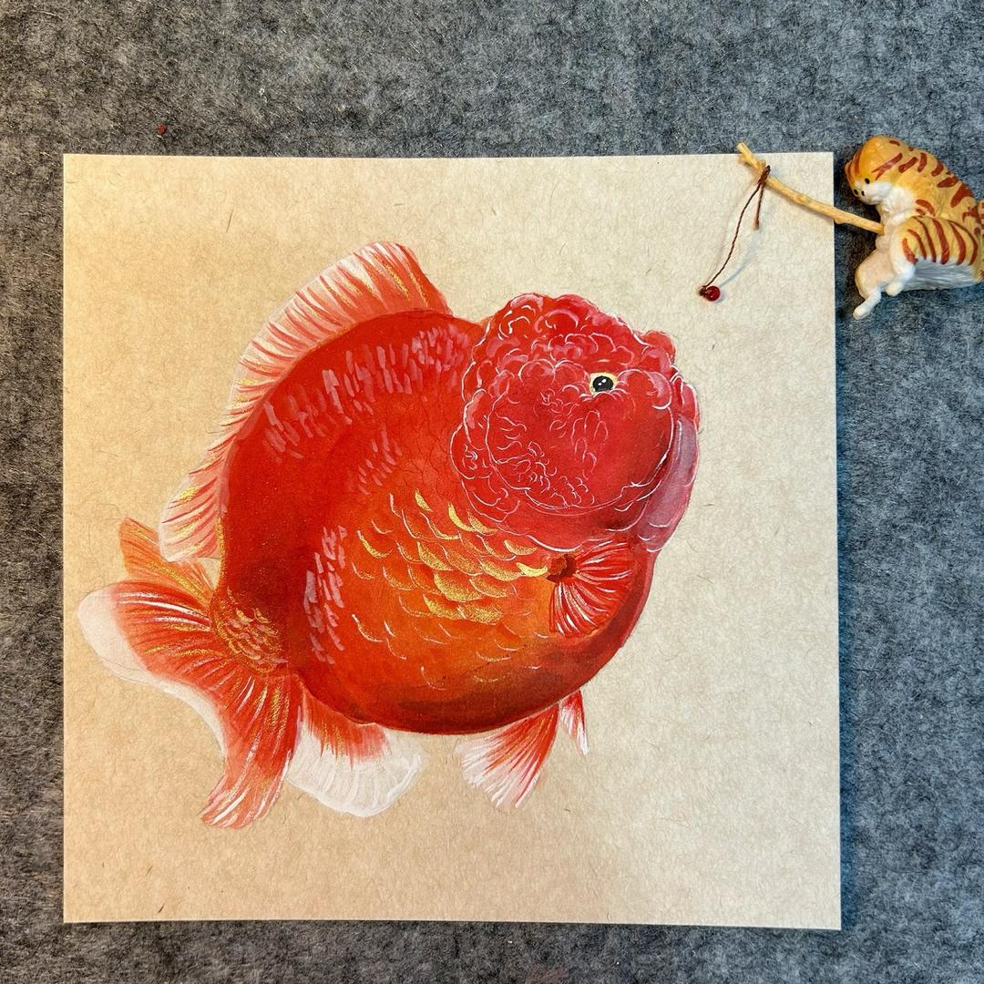 发财金鱼工作室