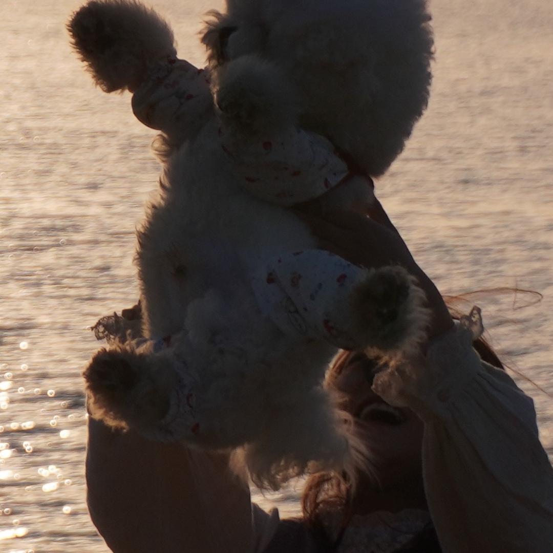 琪琪爱吃炒米粉