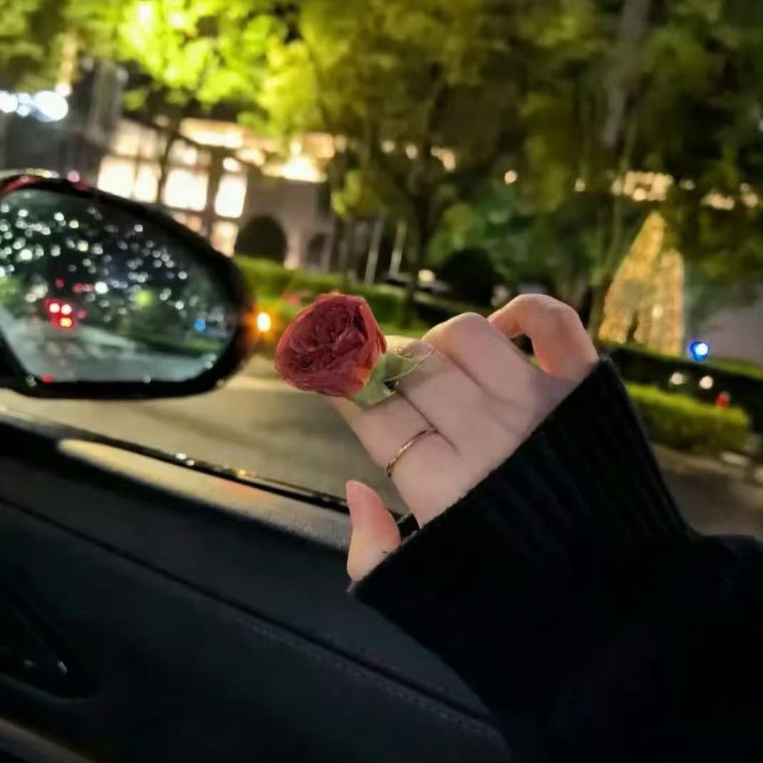 鑫鑫子