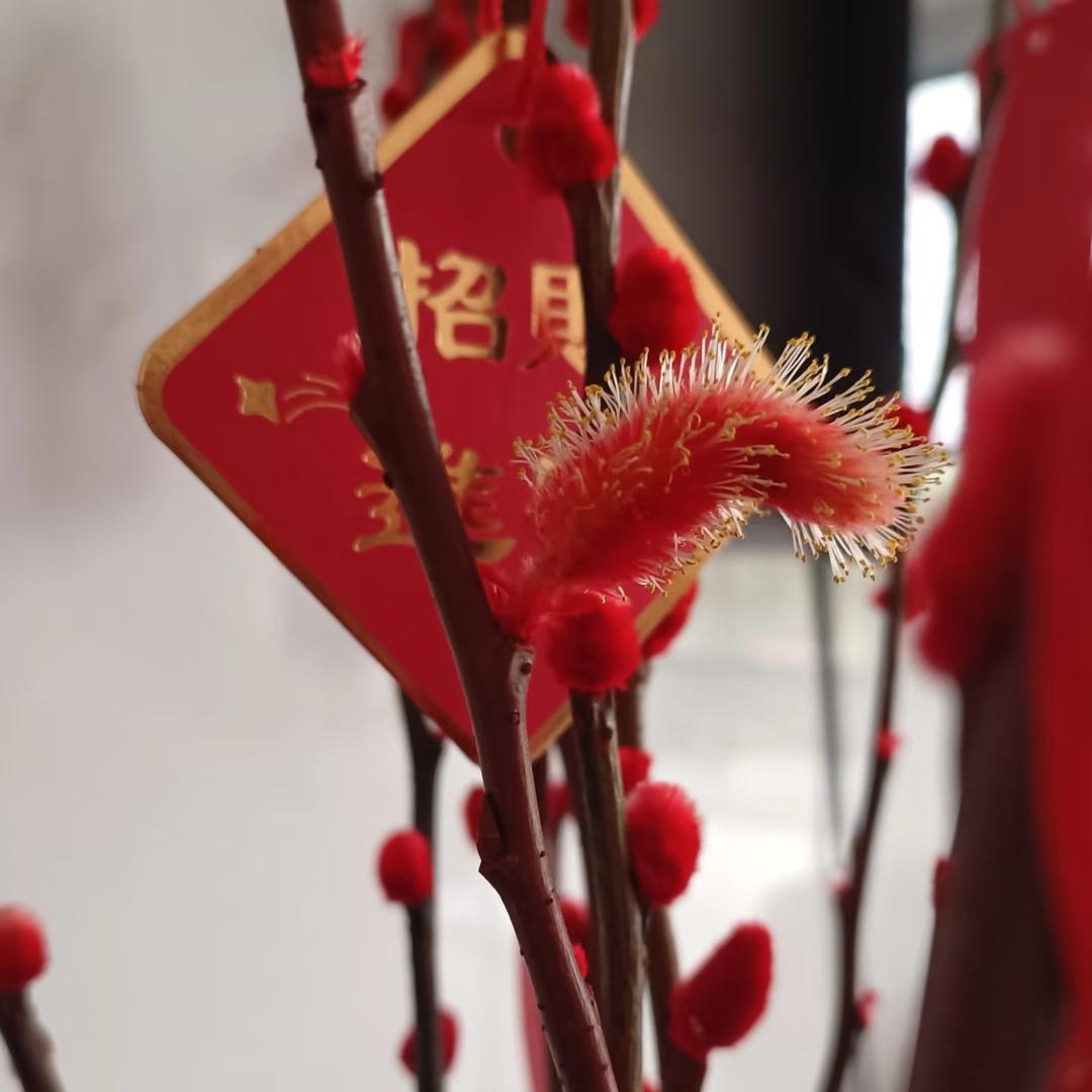 天 天