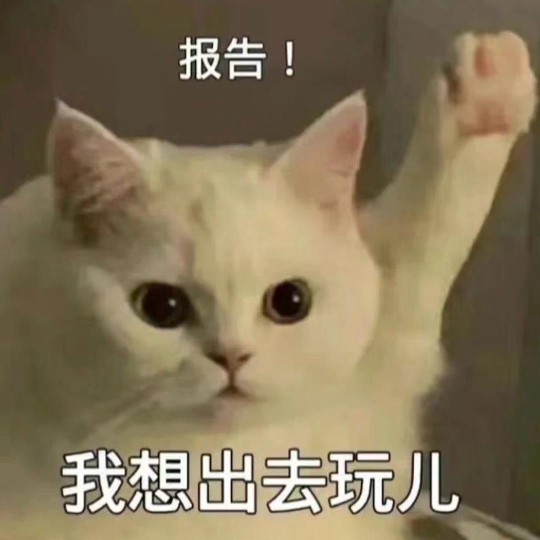 许快乐🎈