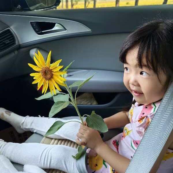 璞玉