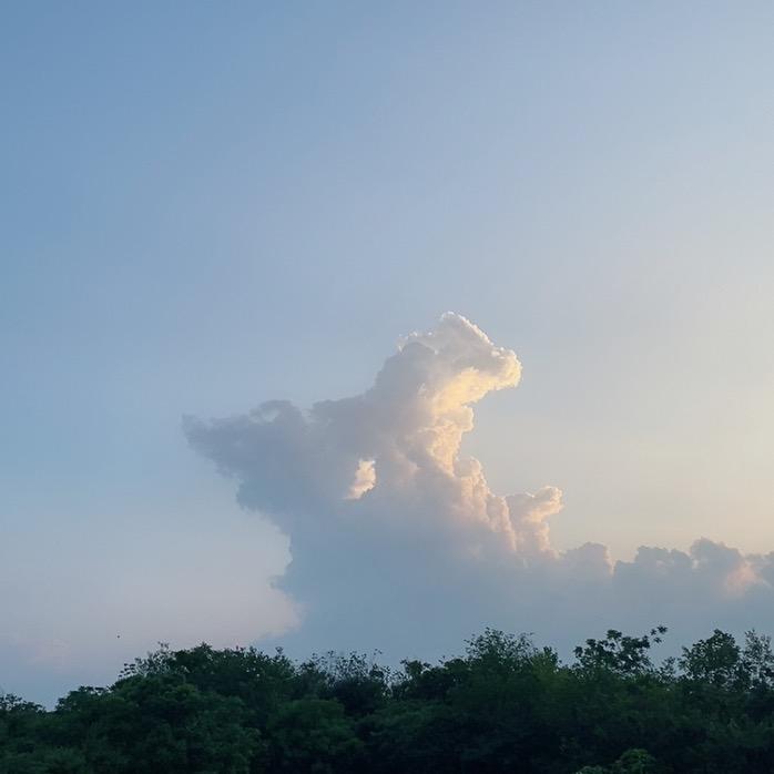 令令的时光小巷