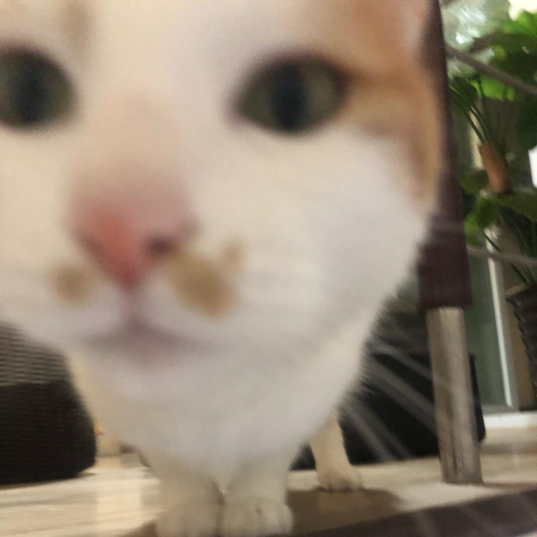 李纸盒