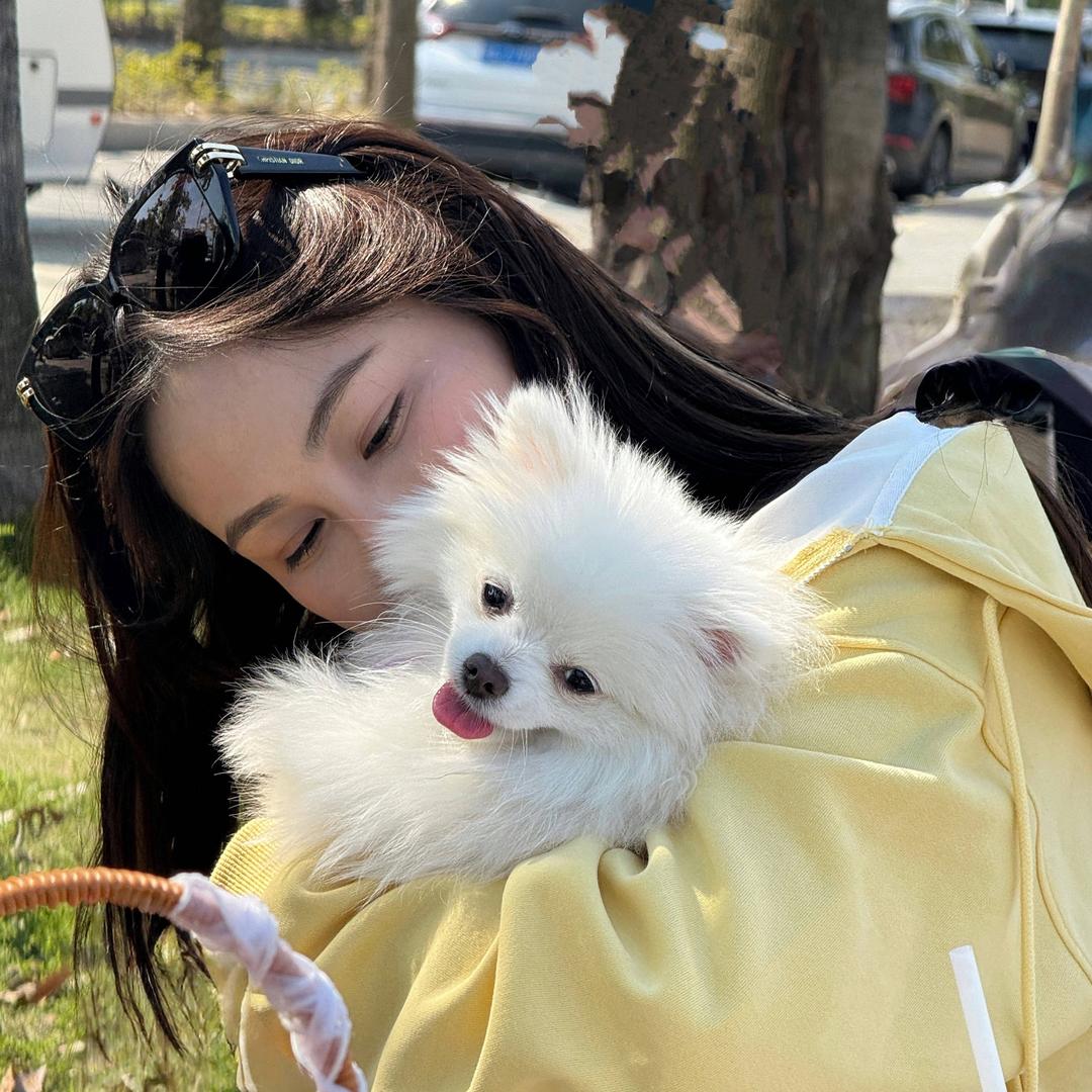 🌷· 𝗧𝗶𝘀𝗮