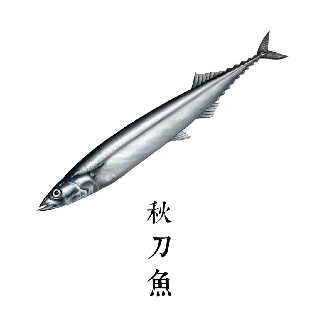 种在田里的秋刀鱼