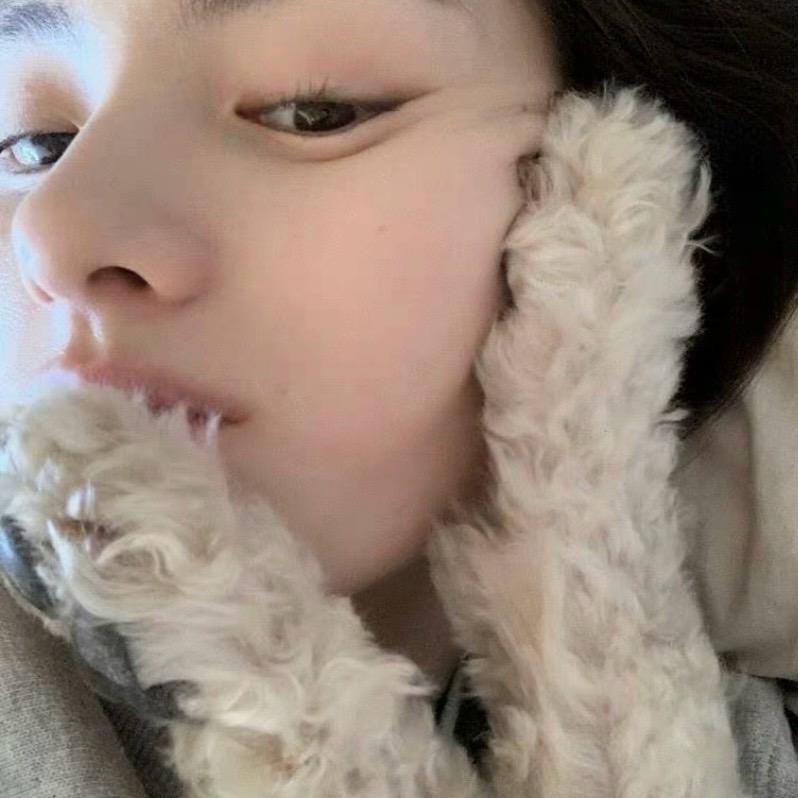 豆鲨包、