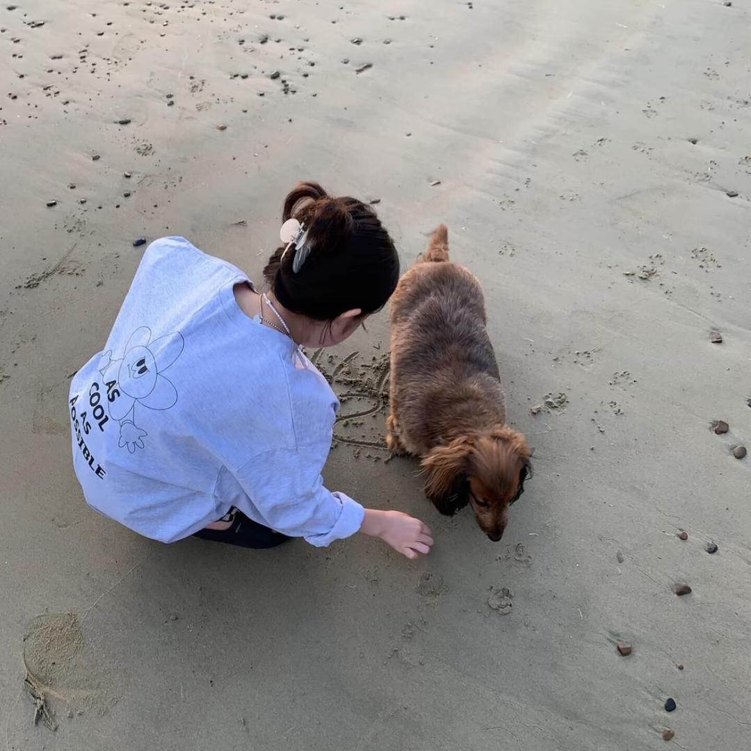 目前不知道叫什么名字