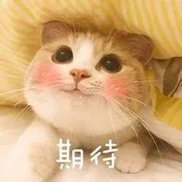 无心🥶