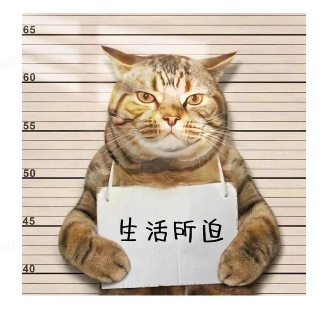 神评工厂