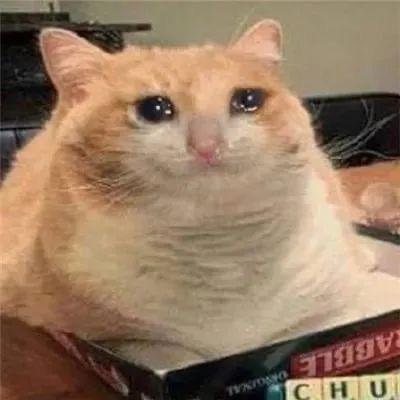 我要疯了