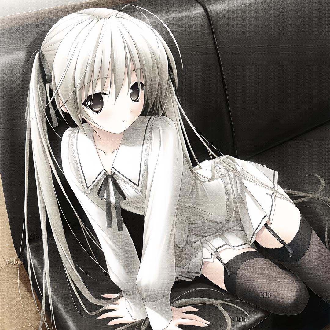Lilii