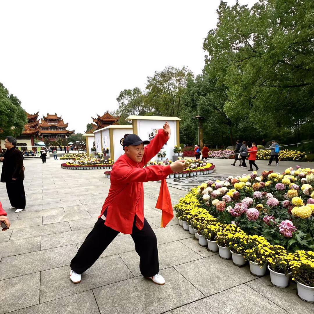 开心果太极人