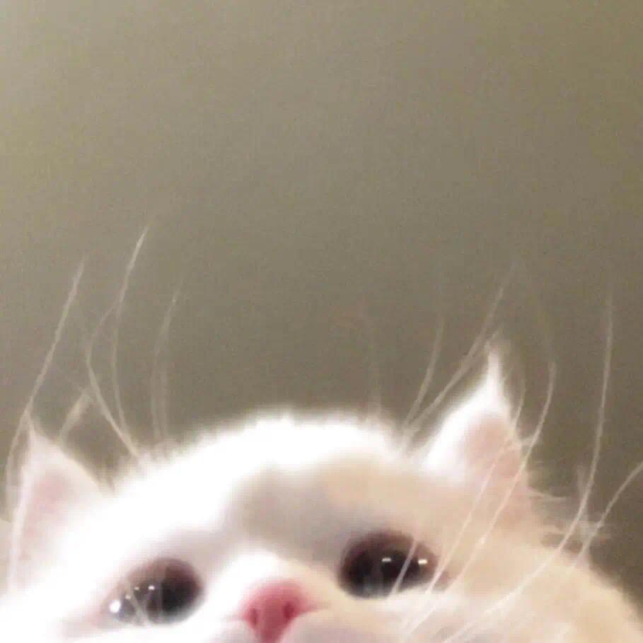 早1点睡.