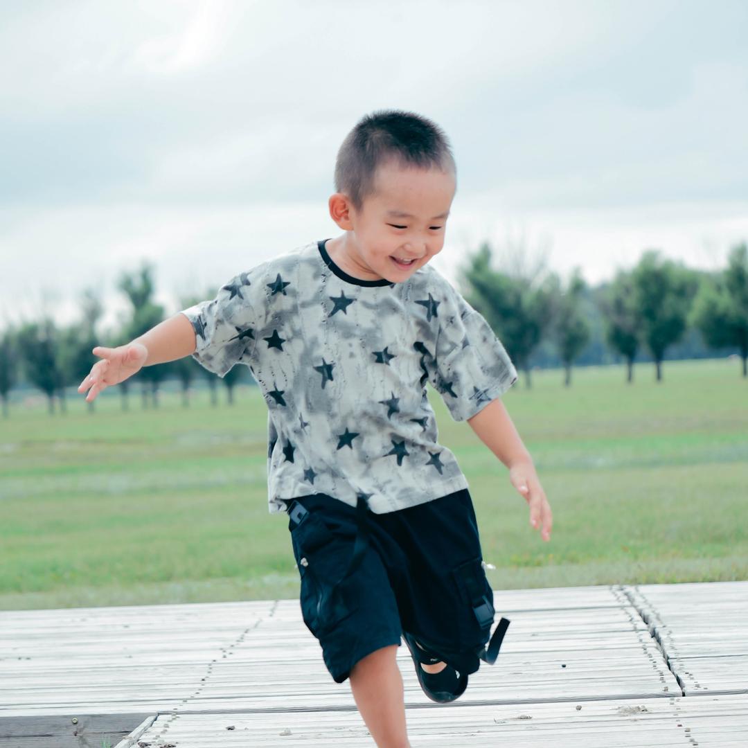 红鲤鱼与绿鲤鱼与驴
