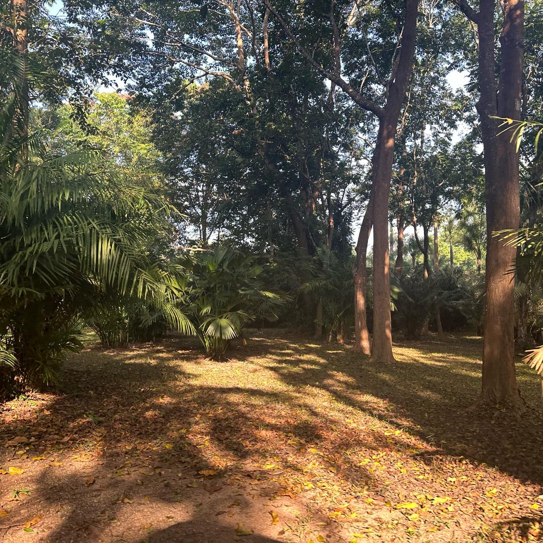 叫我小牛（已瘦70）