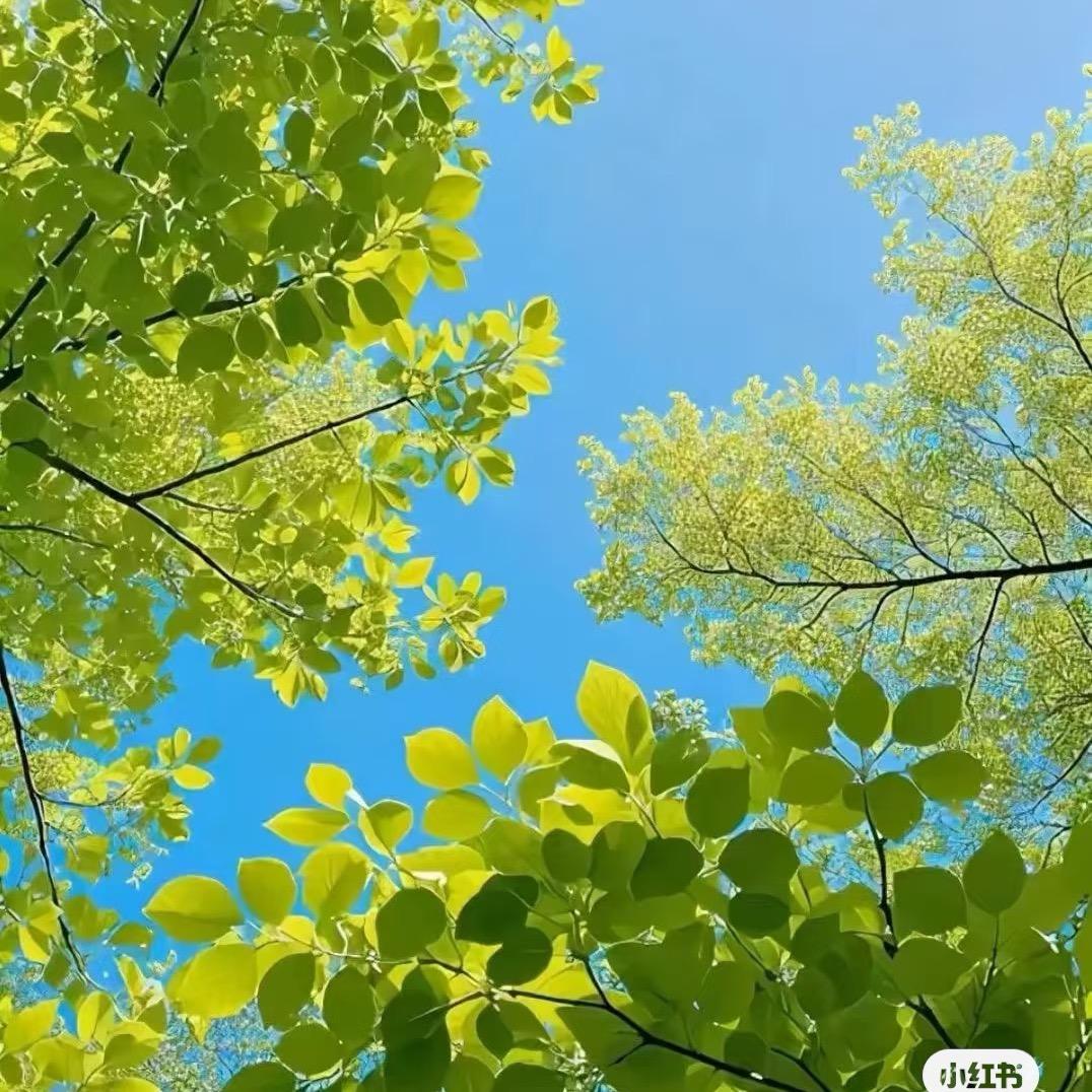 嘿！你忘了爱❤️自己！