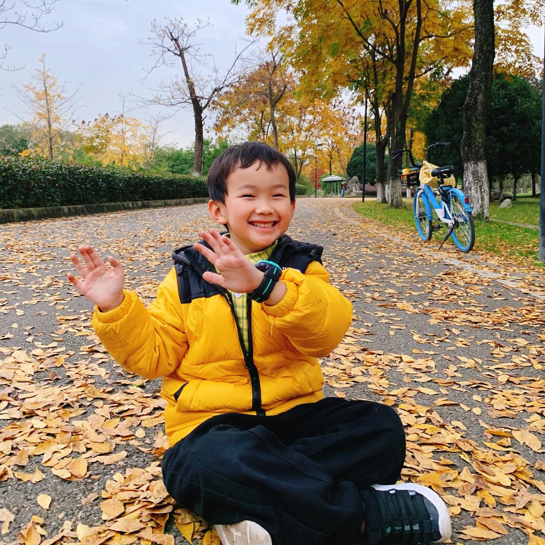 果果的疯狂玩具世界