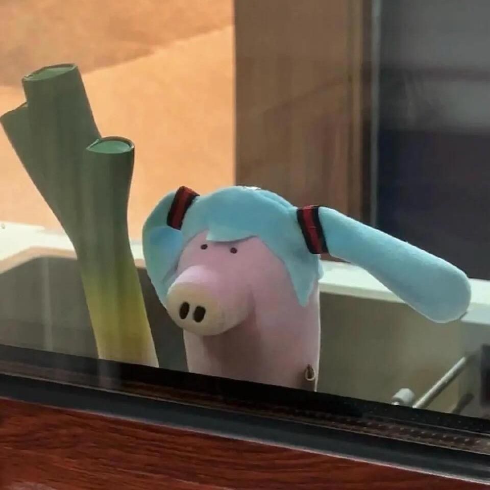 share猪角Ꙫ