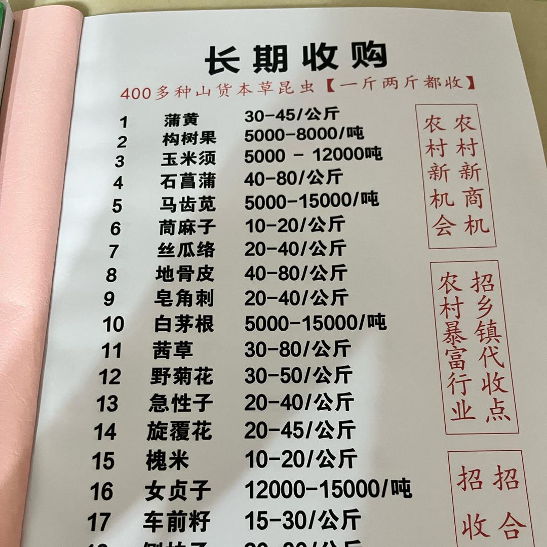 贝贝老师
