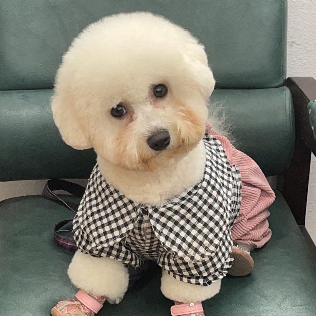 功夫八婆头像