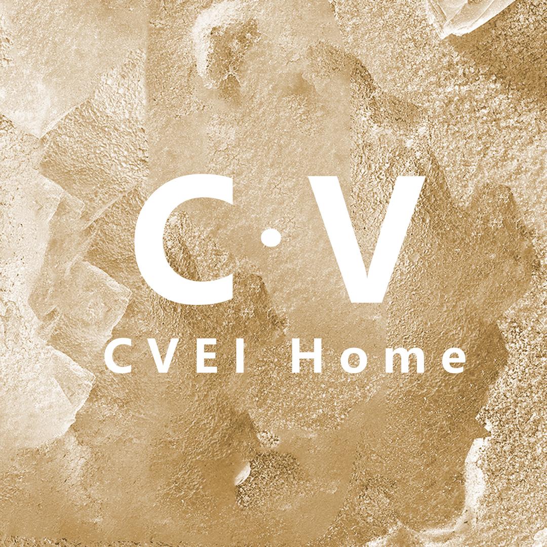 CVEI家居地毯