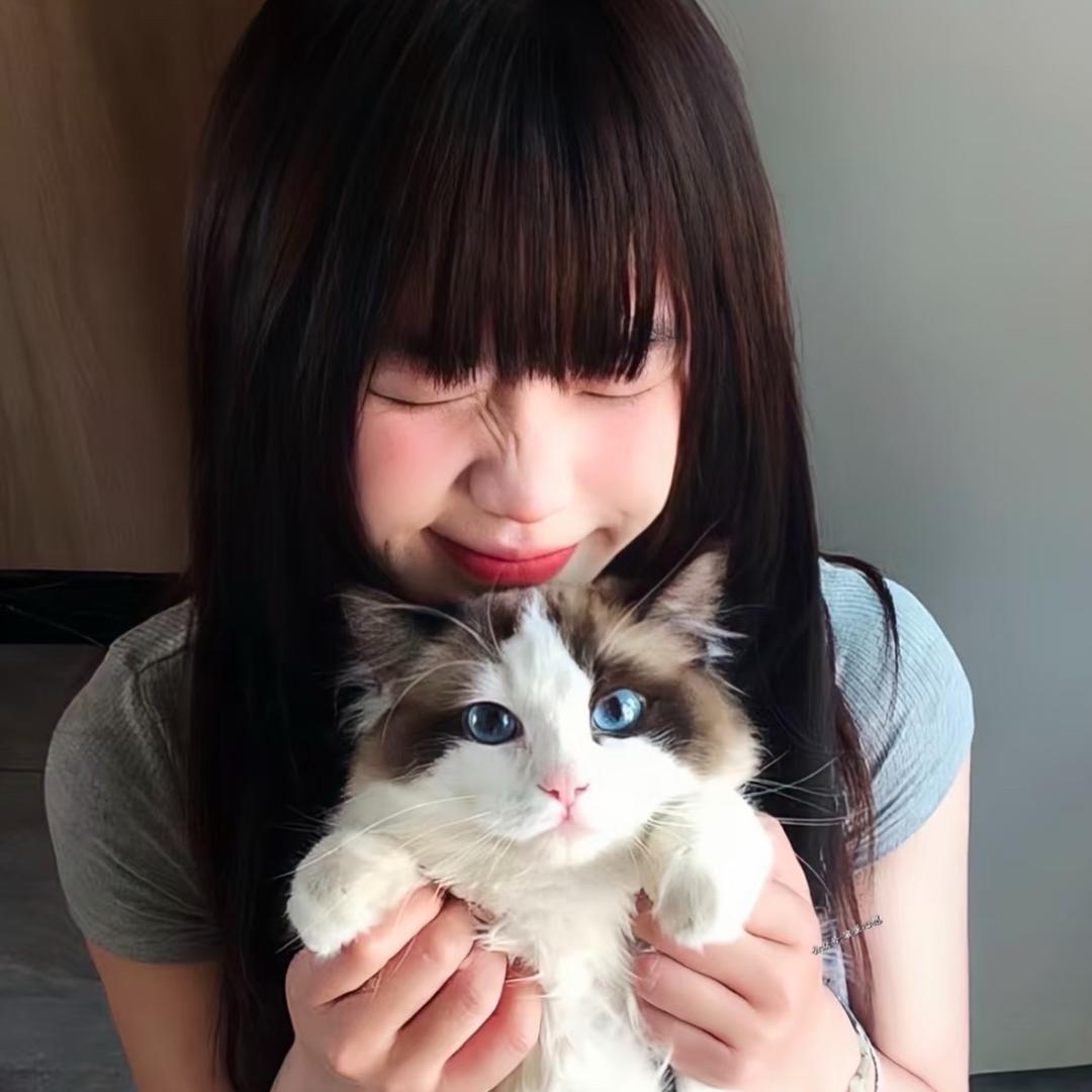 崽崽🍼