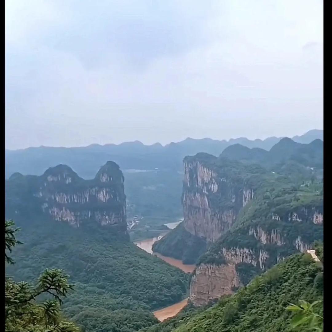 江夏小黄