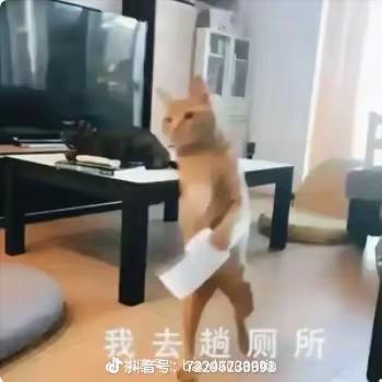 🌈已巳🌈蛇年：秭汐