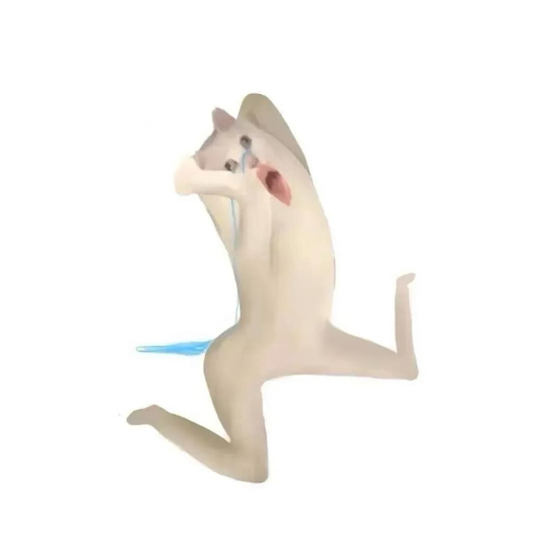 绵绵2